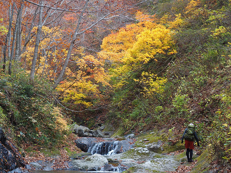 20151024_樋ノ沢～南面白山_c0081645_2332724.jpg