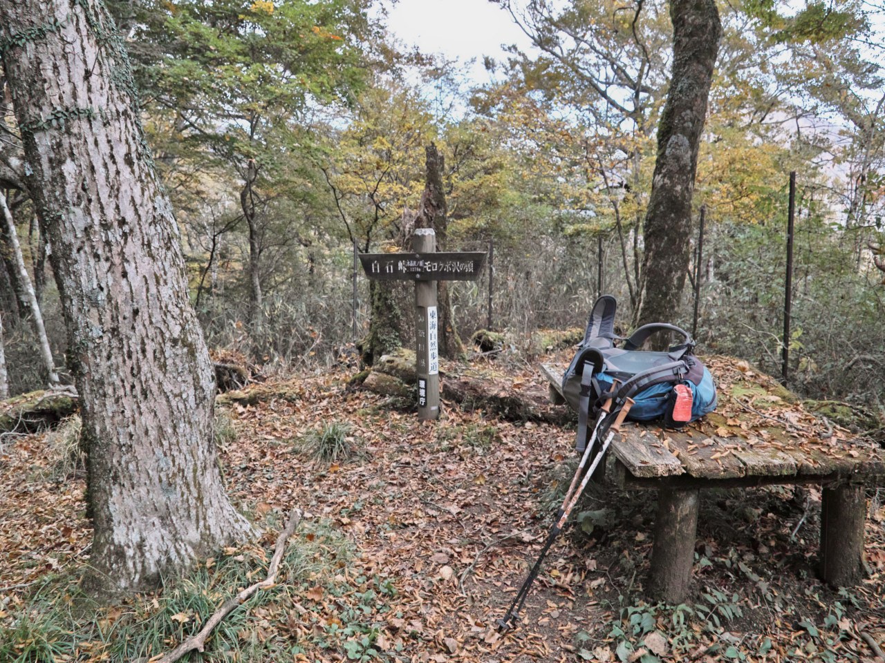 頭を踏んで荒れた沢を下る西丹沢_c0008948_18412067.jpg