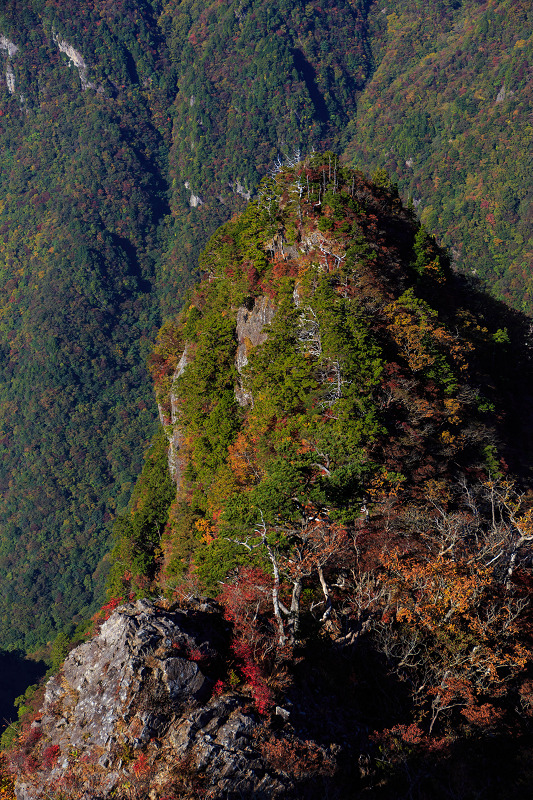 関西一早い紅葉（大台ケ原・正木ヶ原～大蛇嵓）_f0155048_191132.jpg