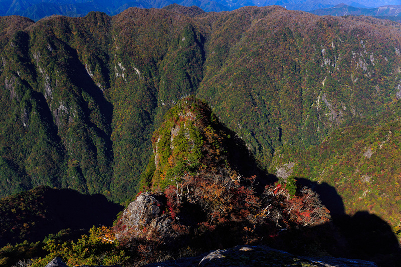 関西一早い紅葉（大台ケ原・正木ヶ原～大蛇嵓）_f0155048_195932.jpg