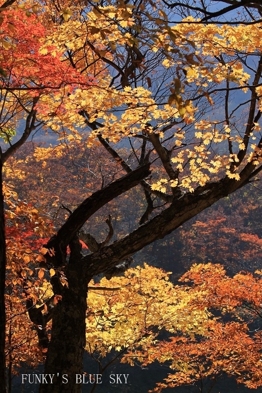 c0145250_11280162.jpg
