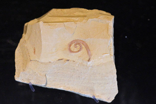 e0294253_16520101.jpg