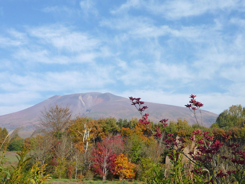 b0045357_8103690.jpg
