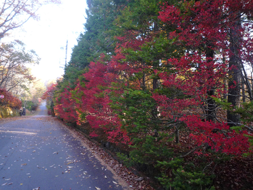 b0045357_814420.jpg