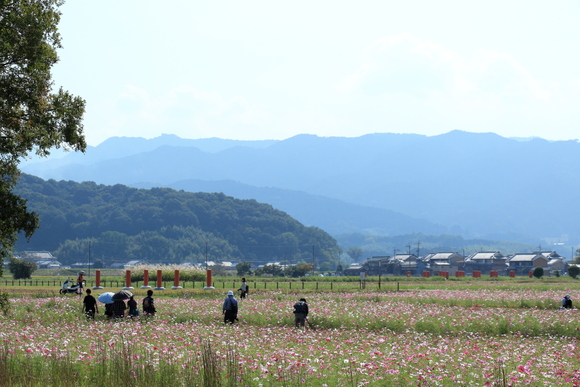 c0272958_0132983.jpg