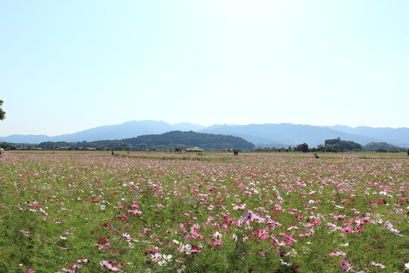 c0272958_045583.jpg