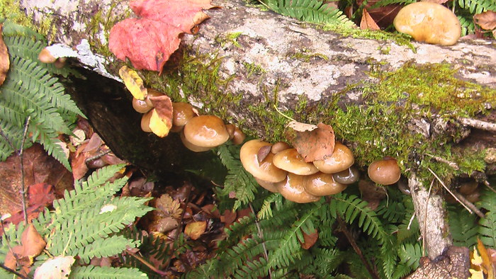 b0208961_18565165.jpg