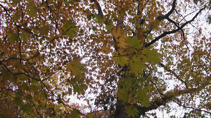 b0208961_1955015.jpg