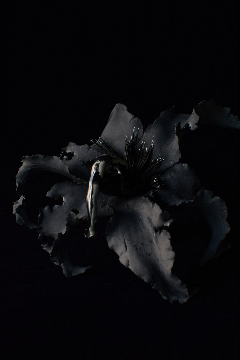 「新宮さやか展 メメント・モリ」 深層の花_d0087761_2061040.jpg