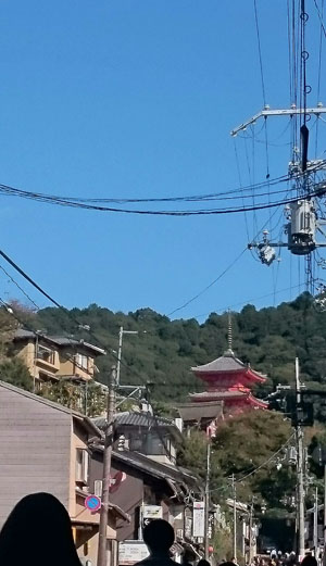 秋の京都でコラボさせていただきます_f0215262_2282647.jpg