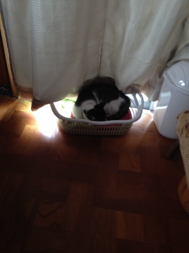 d0128864_13475034.jpeg