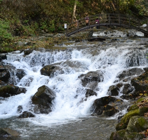 コブオン家と秋の軽井沢(その2)_c0039167_17583414.jpg