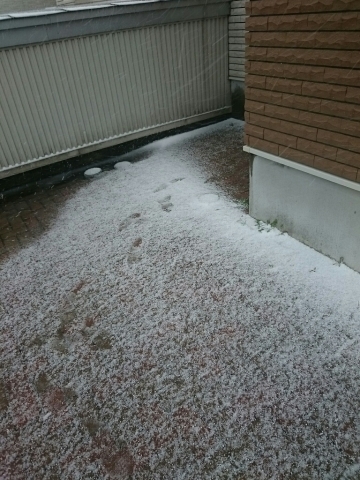 c0311170_14043253.jpg