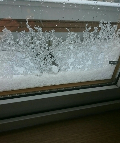 c0311170_14043789.jpg