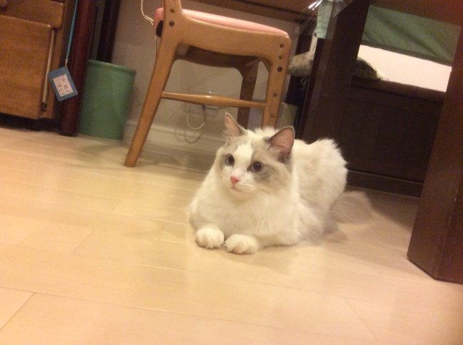 ビックリ!_a0285571_01497.jpg