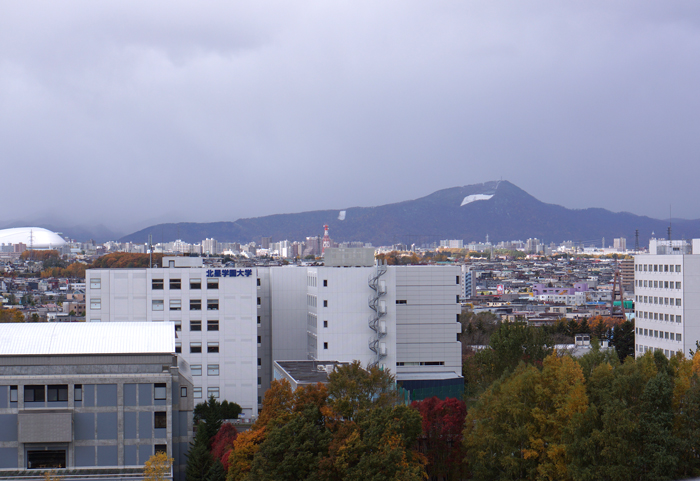 市内の初雪と手袋の着用_c0182775_17241174.jpg