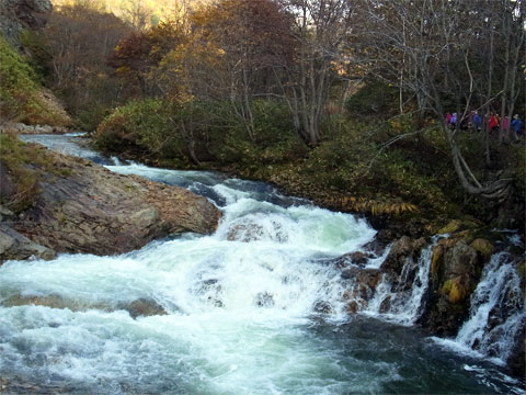 f0083977_16313296.jpg