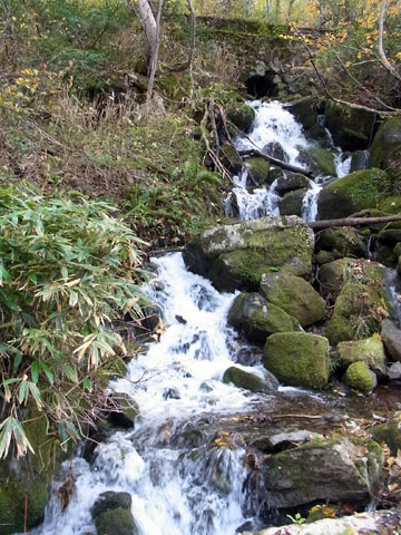f0083977_16314949.jpg