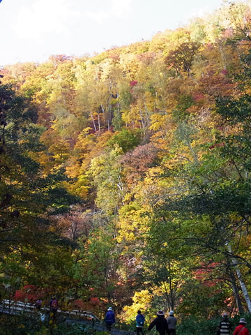 f0083977_1632814.jpg