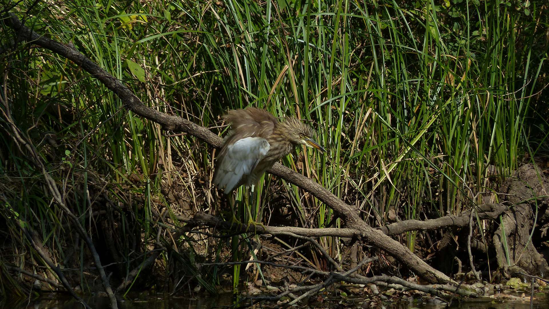 a0185081_13102774.jpg