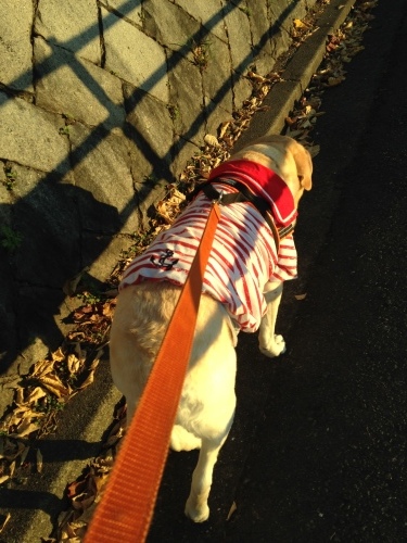 f0315081_20121970.jpeg