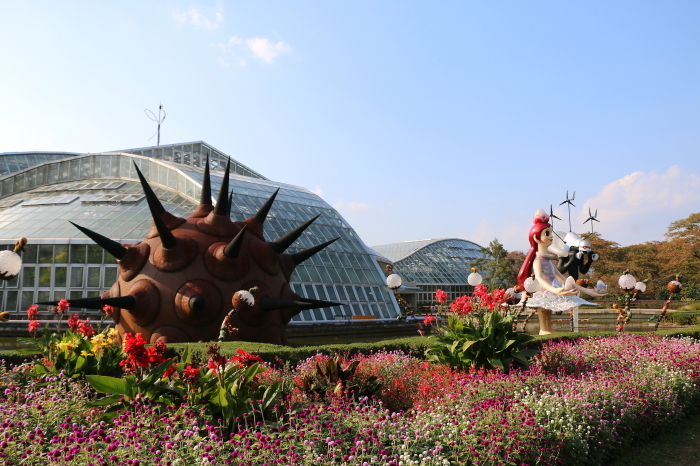 京都　秋の植物園_c0338583_17383123.jpg