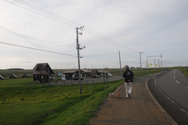 ミルクロード・ゆめの森公園・新酪農村展望台・霧多布岬_d0074683_1472675.jpg