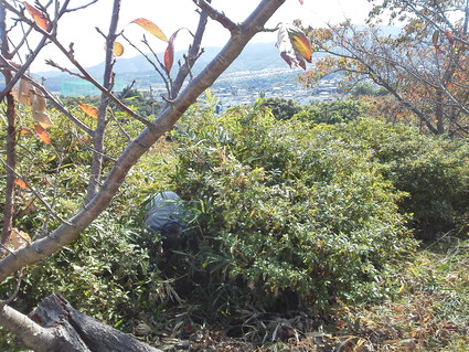 f0053885_20191942.jpg