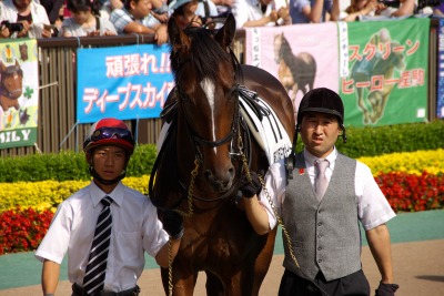 サブちゃん祭りだ！菊花賞はキタサンブラックが悲願のGI初制覇_b0015386_22131728.jpg