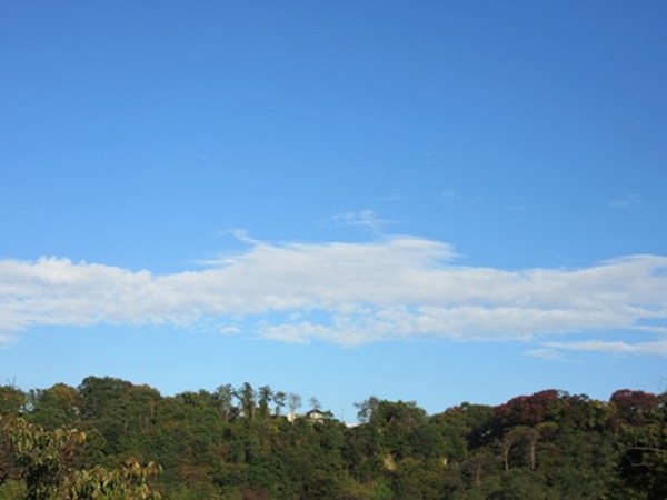 雨になる前に・・・_f0215591_428726.jpg