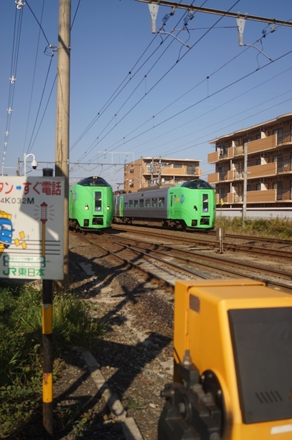 d0181492_17255446.jpg