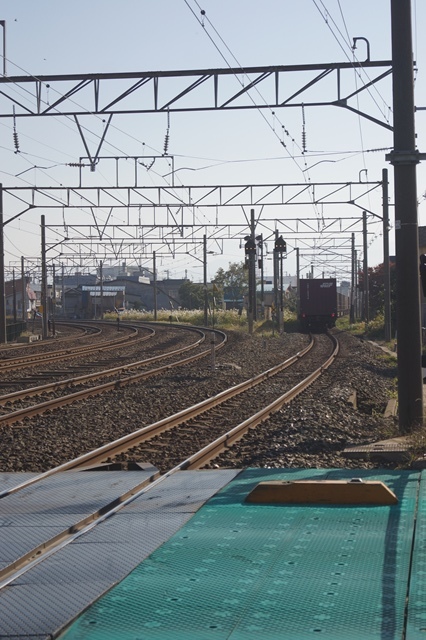 d0181492_17294495.jpg