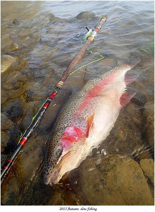 <Episode #150> Weekday fishingtrip / Teshio river_f0317993_10591688.jpg
