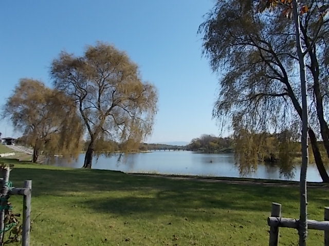 f0316507_20334535.jpg