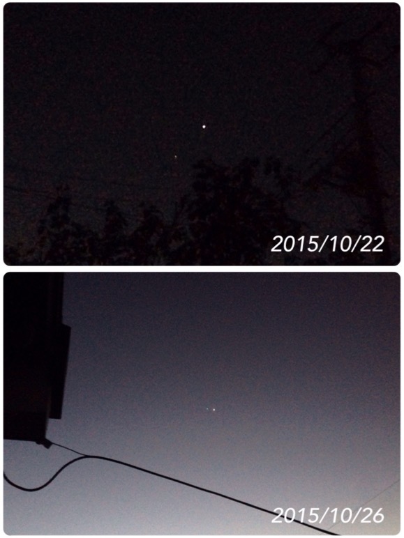 f0162908_20595705.jpg