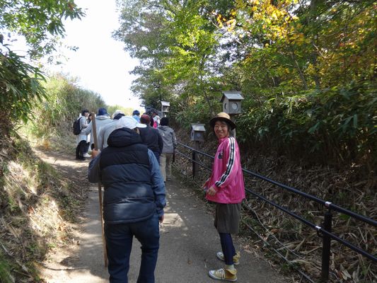 10/23 曽爾高原_a0154110_1015277.jpg