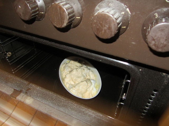 c0167813_8113717.jpg