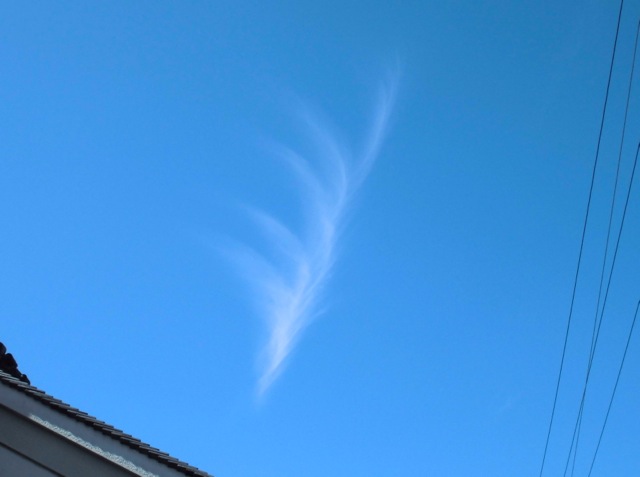 b0181015_18493684.jpg
