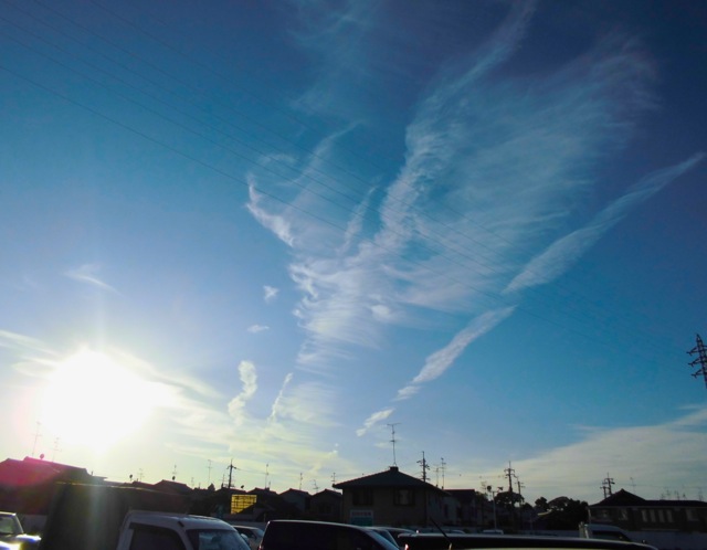 b0181015_18494619.jpg