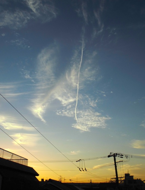 b0181015_18501987.jpg