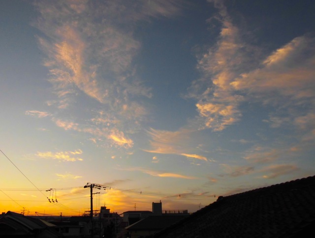 b0181015_18502744.jpg