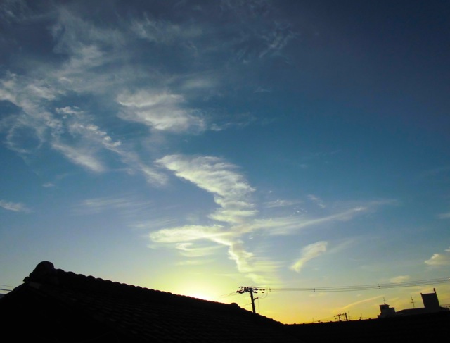 b0181015_1850987.jpg