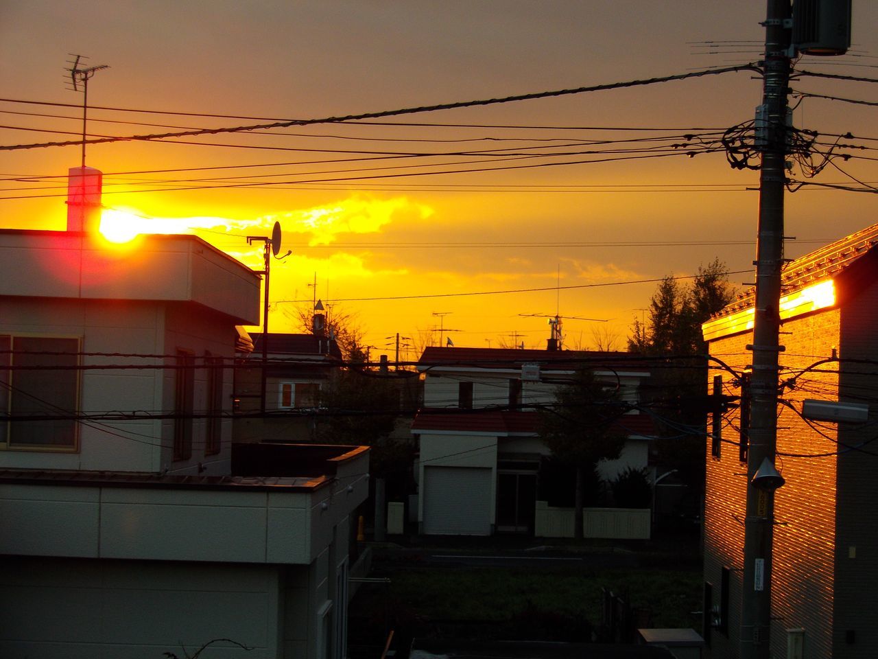 嵐去り_c0025115_17282192.jpg