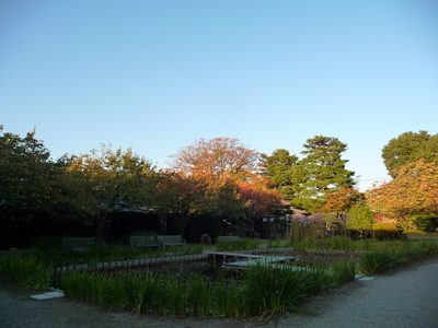 紅葉の様子_e0135219_1704615.jpg