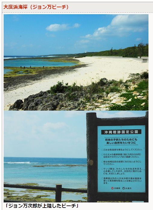 大度海岸でサメ 沖縄の風