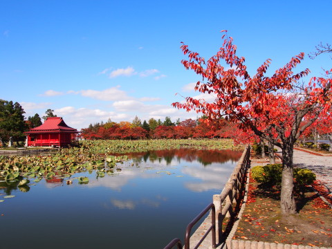 紅葉の猿賀公園(平川市)*2015.10.23_b0147224_19595042.jpg