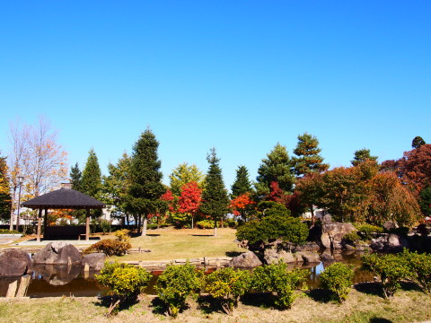 紅葉の猿賀公園(平川市)*2015.10.23_b0147224_202149.jpg