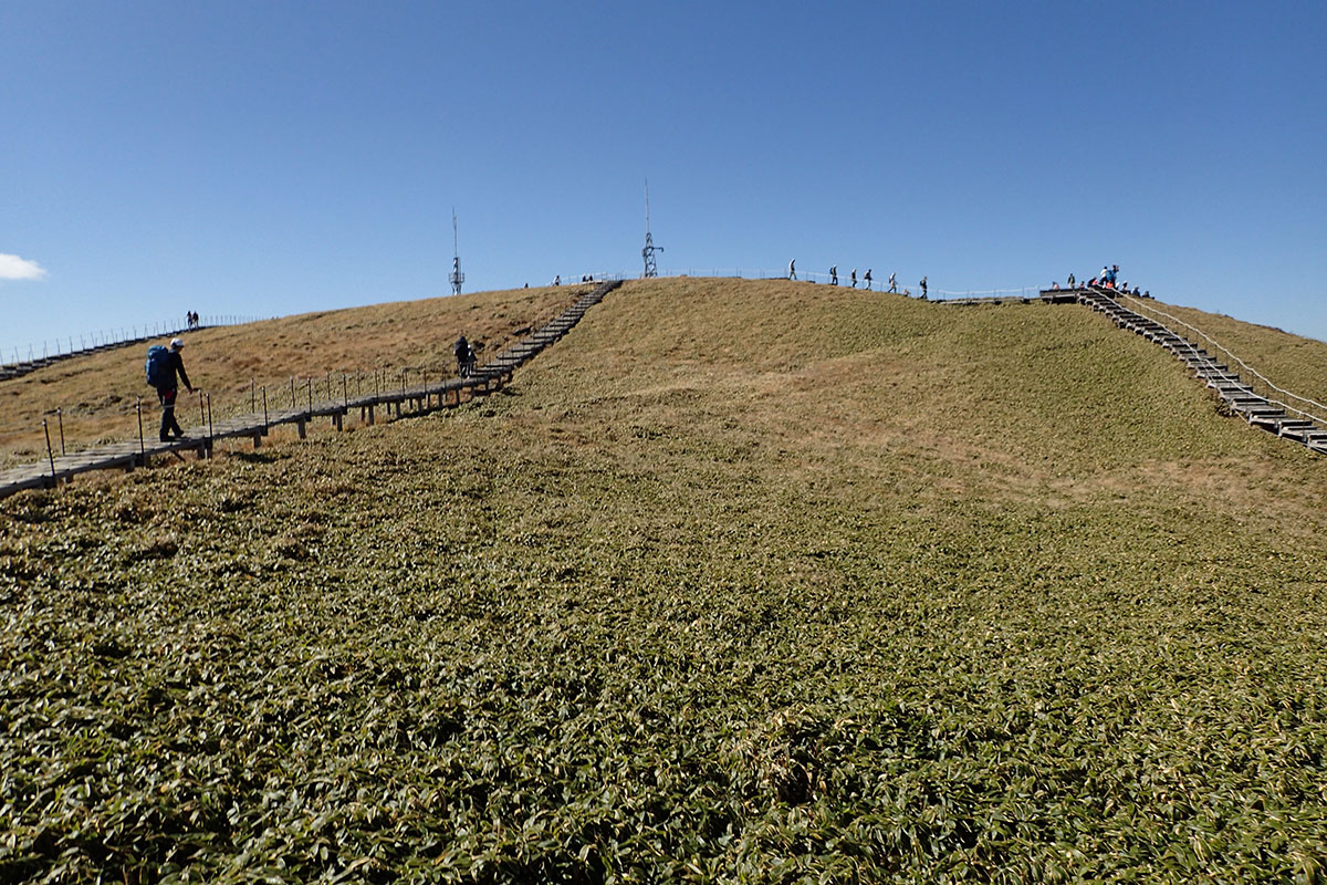 c0064025_14503233.jpg