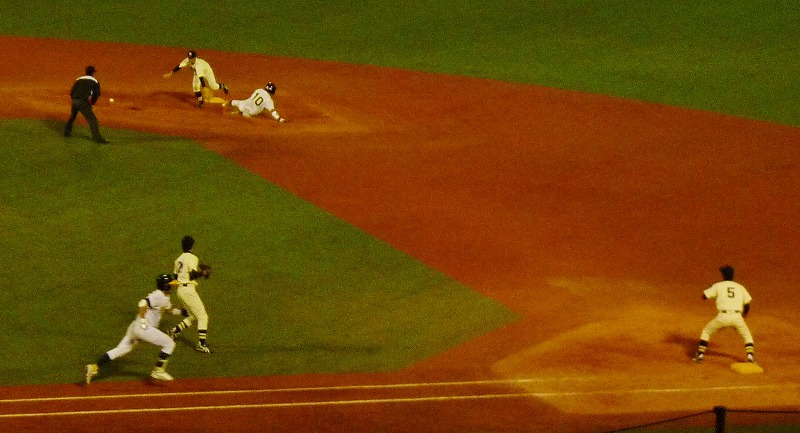 國學院大対専修大 10月7日 東都大学野球1部 後半_b0166128_18503686.jpg