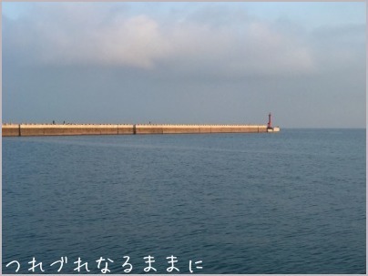 淡路島、3箇所でエビ撒き釣りを試す_d0017632_09072572.jpeg